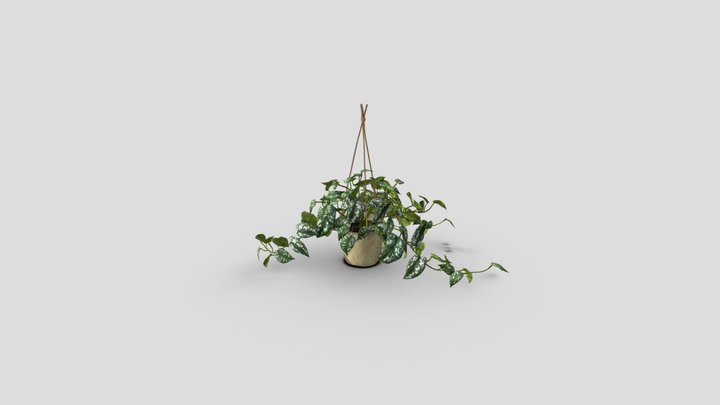 gray kudzu 3D Model