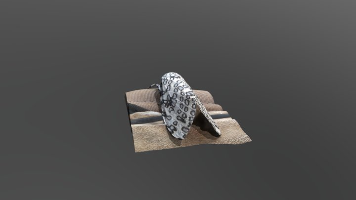 Giant Leopard Moth 3D Model