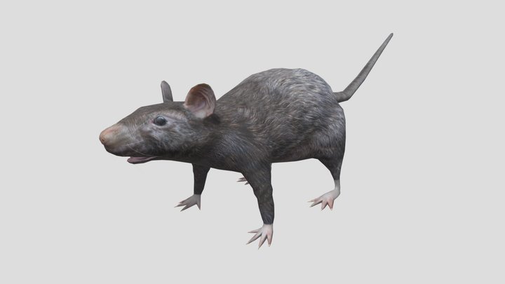Dead Frontier Rat 3D Model