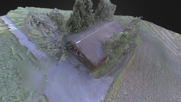 Aerial Scan with direct fpv output 3D Model