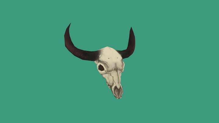 Cow Skull 3D Model