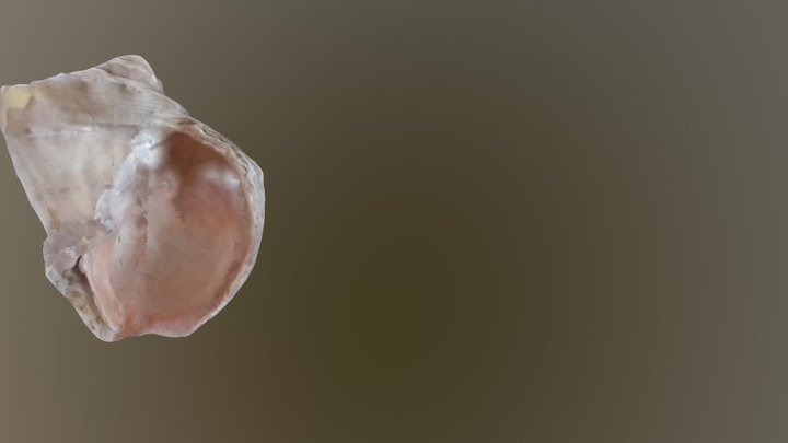 test 3D Model