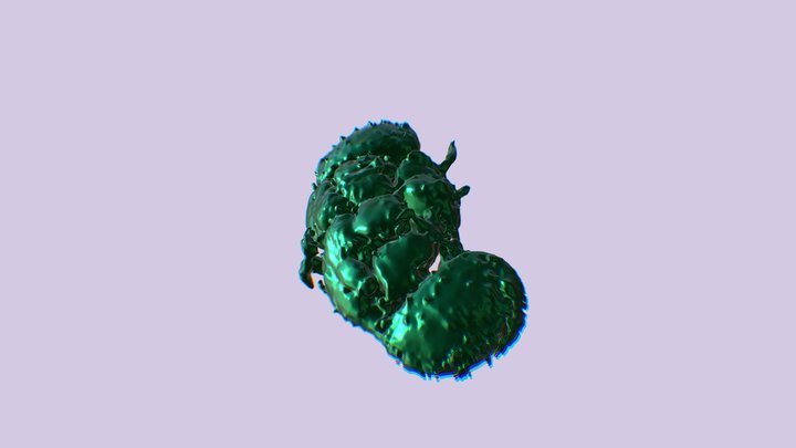 Cerebro-mosca-GPedrana 3D Model