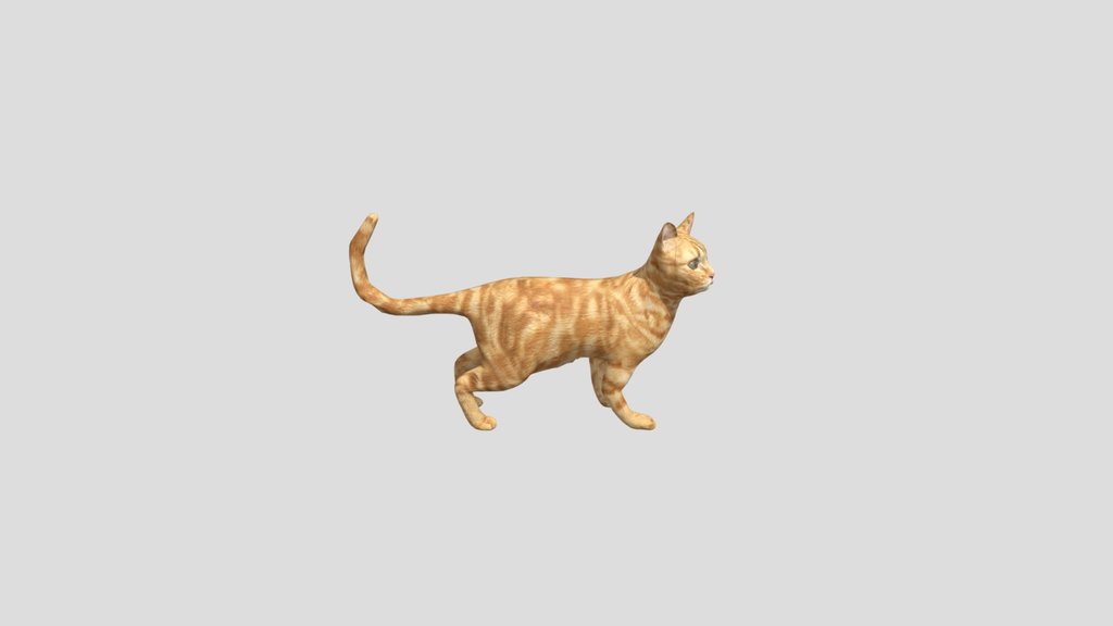 Ginger Cat Rigged With Ik