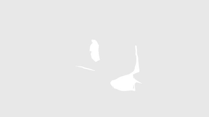 test1 scanniverse 3D Model