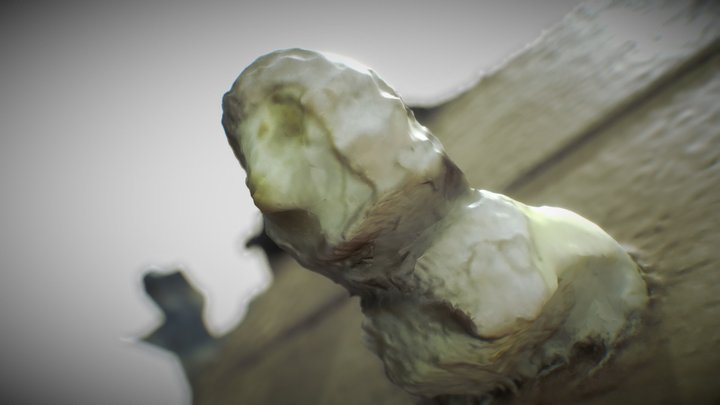 Textured head of pingouin gingembre 3D Model
