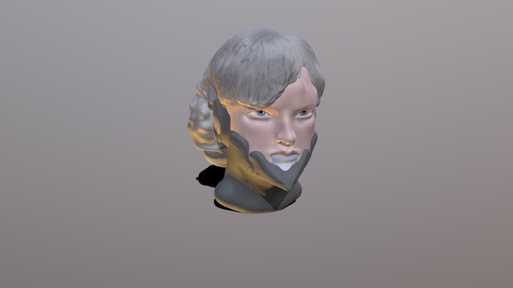 Raiden 3D models - Sketchfab