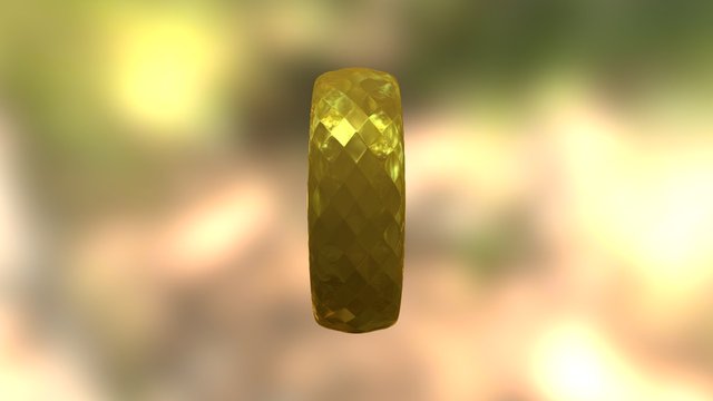 Ring test 3D Model