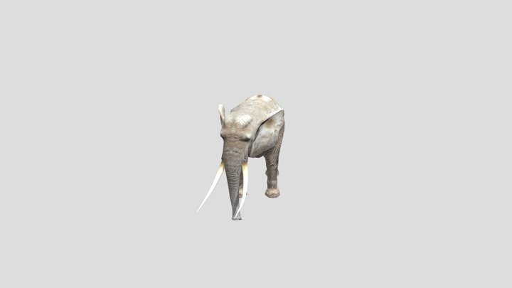 Elephant – Modello 3D gratuito STL