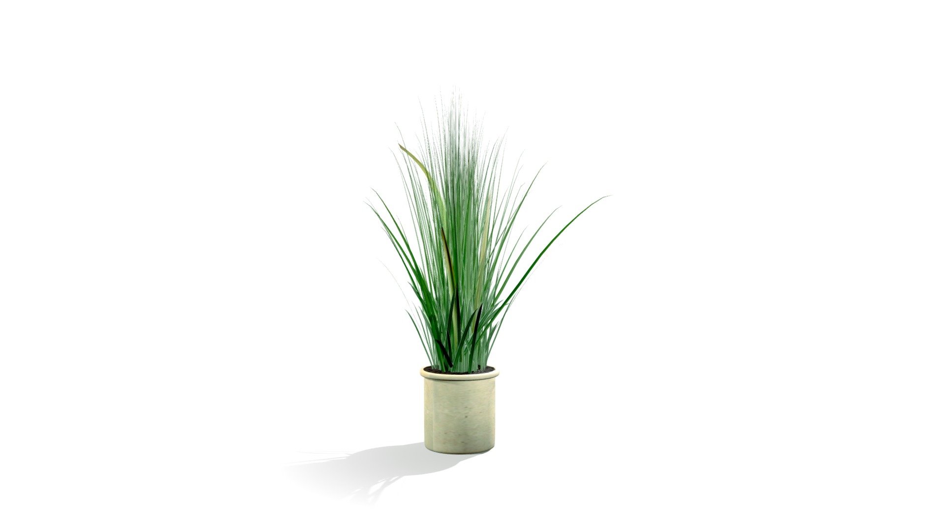 grass - 3D model by 22366797 [df54f46] - Sketchfab