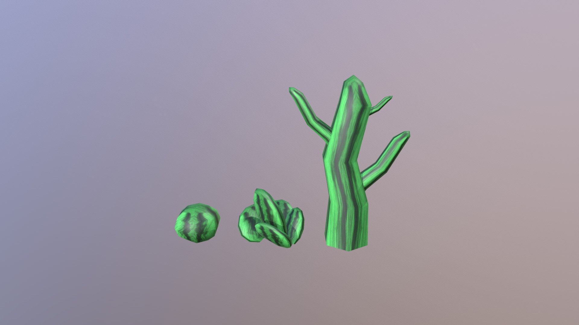 Cactus