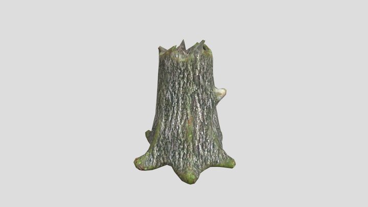 Stump-0004-lp