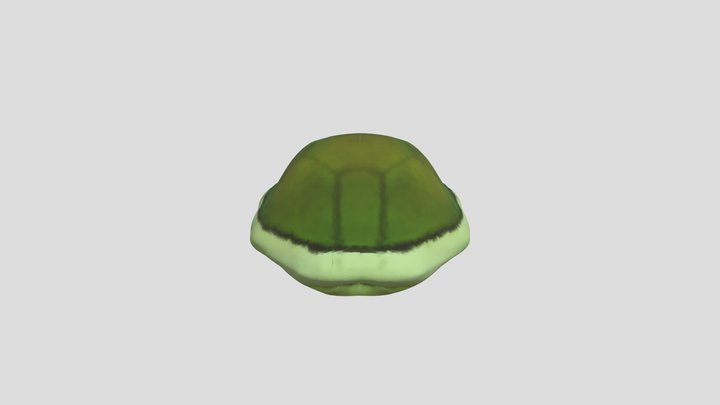 Turtle Shell 3D Model