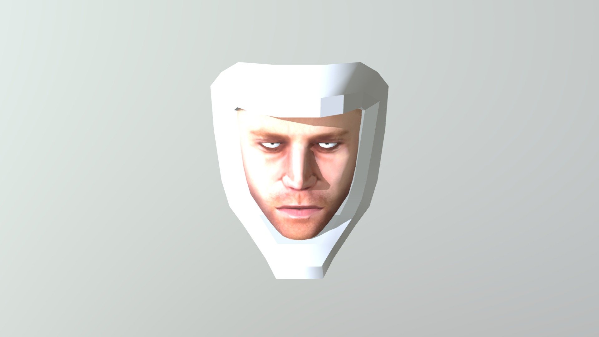 3d scanned and edited head