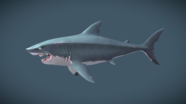 Handpainted Shark 3D Model