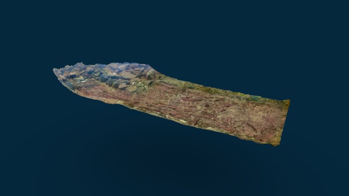 Loch Bhorgastail crannog - underwater trench 3D Model
