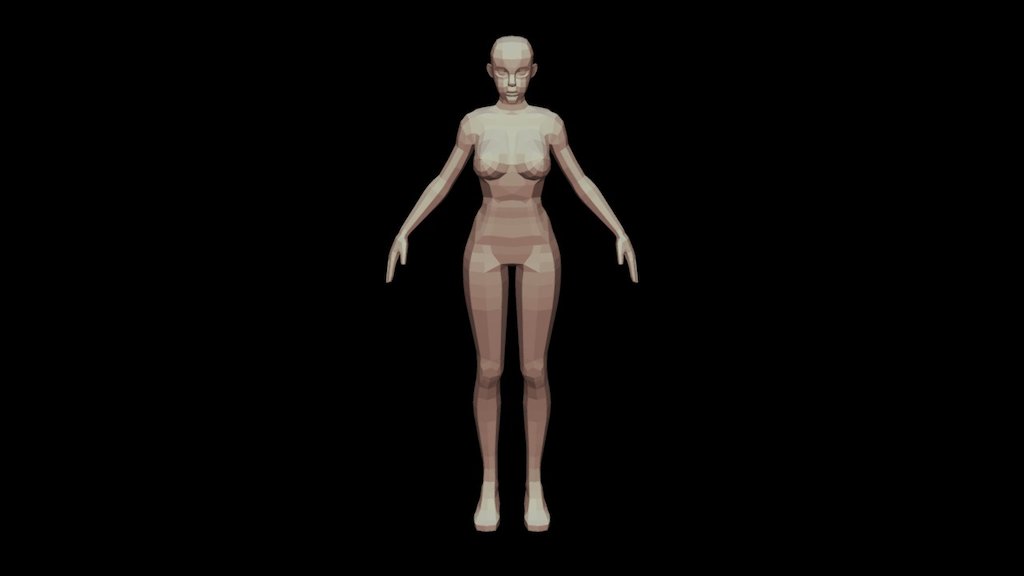 Female Anatomy