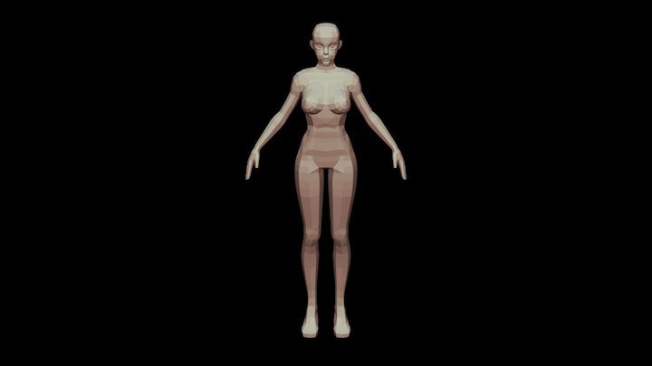 Female Anatomy 3D Model