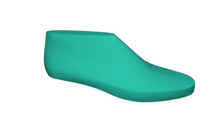 Moccasin Shoe Model Last 3D Model