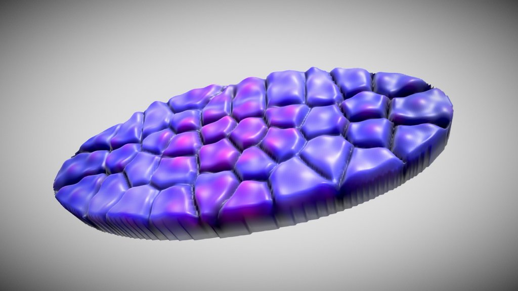 Prototype 12/12 Wing Chladni | PAPP