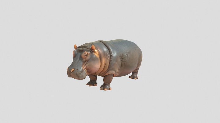 hippopotamus 3d model