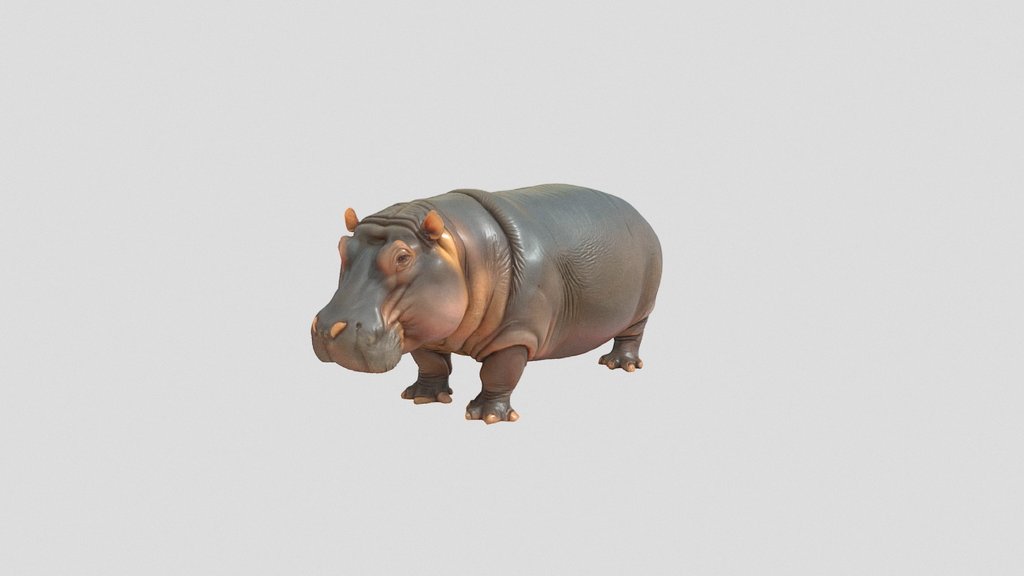 hippopotamus 3d model