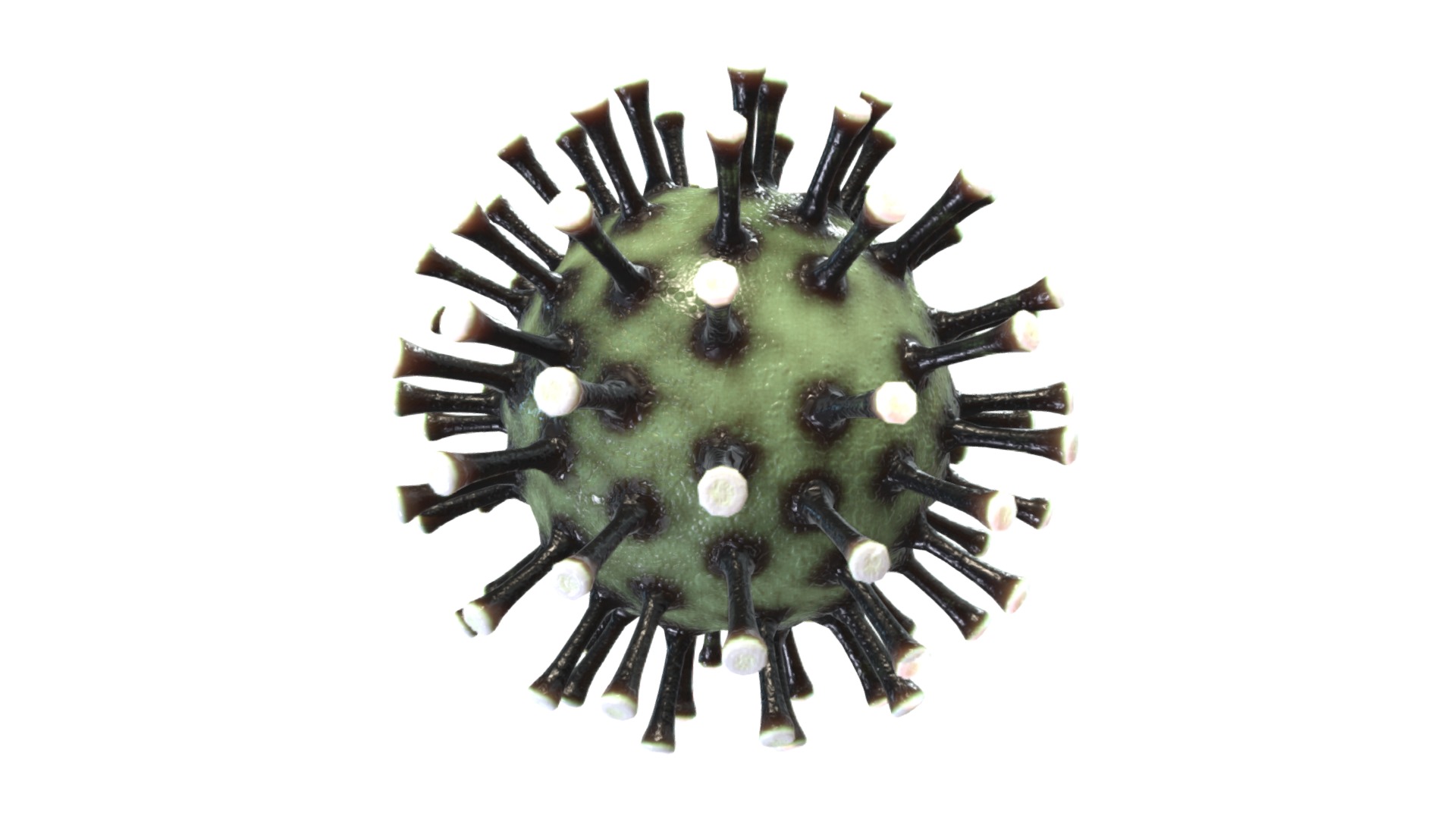 3D model Corona Virus Covid 19 - This is a 3D model of the Corona Virus Covid 19. The 3D model is about a green and black puzzle.