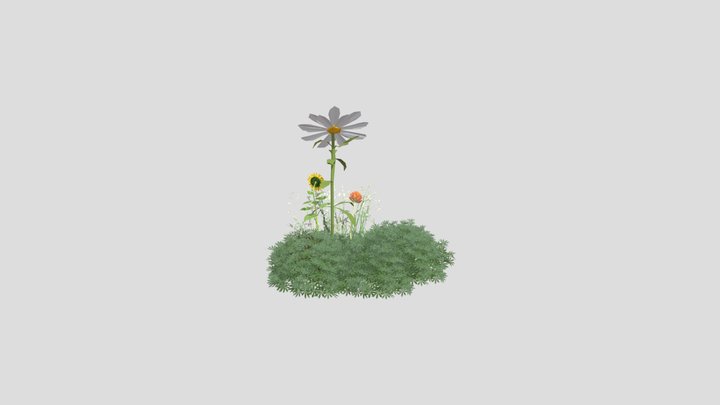 Daisy Set 3D Model