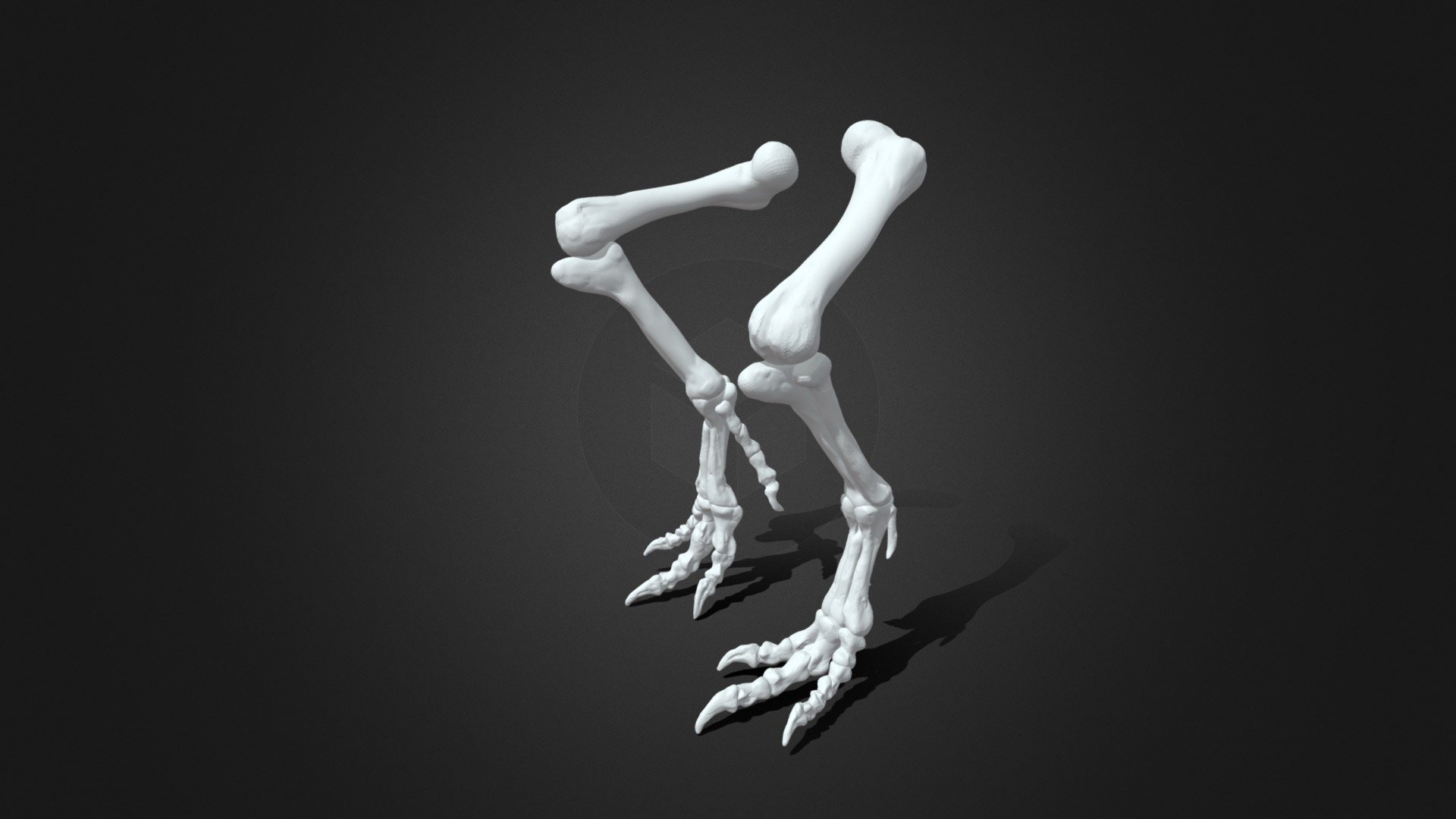 Tyrannosaurus rex leg bone 3d printing model