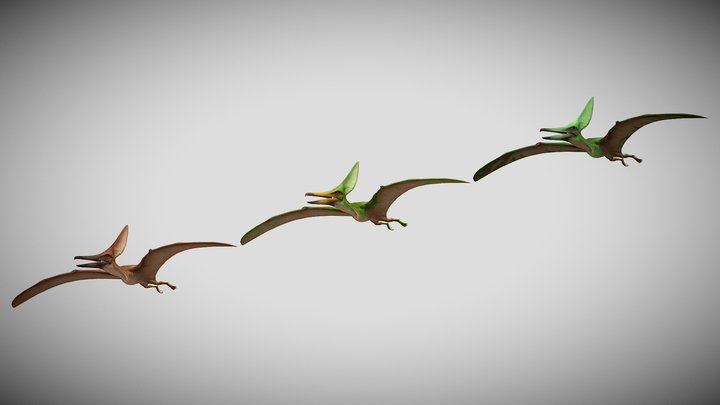 JWE3 Barbaridactylus Pack – Free 3D Model STL