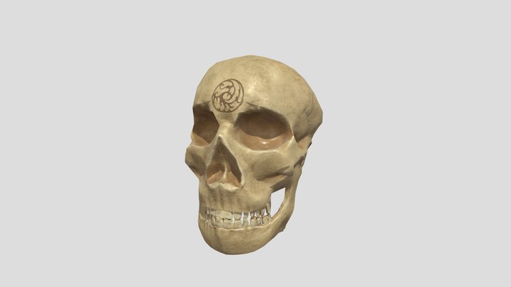 Skull(Head) 3D Model
