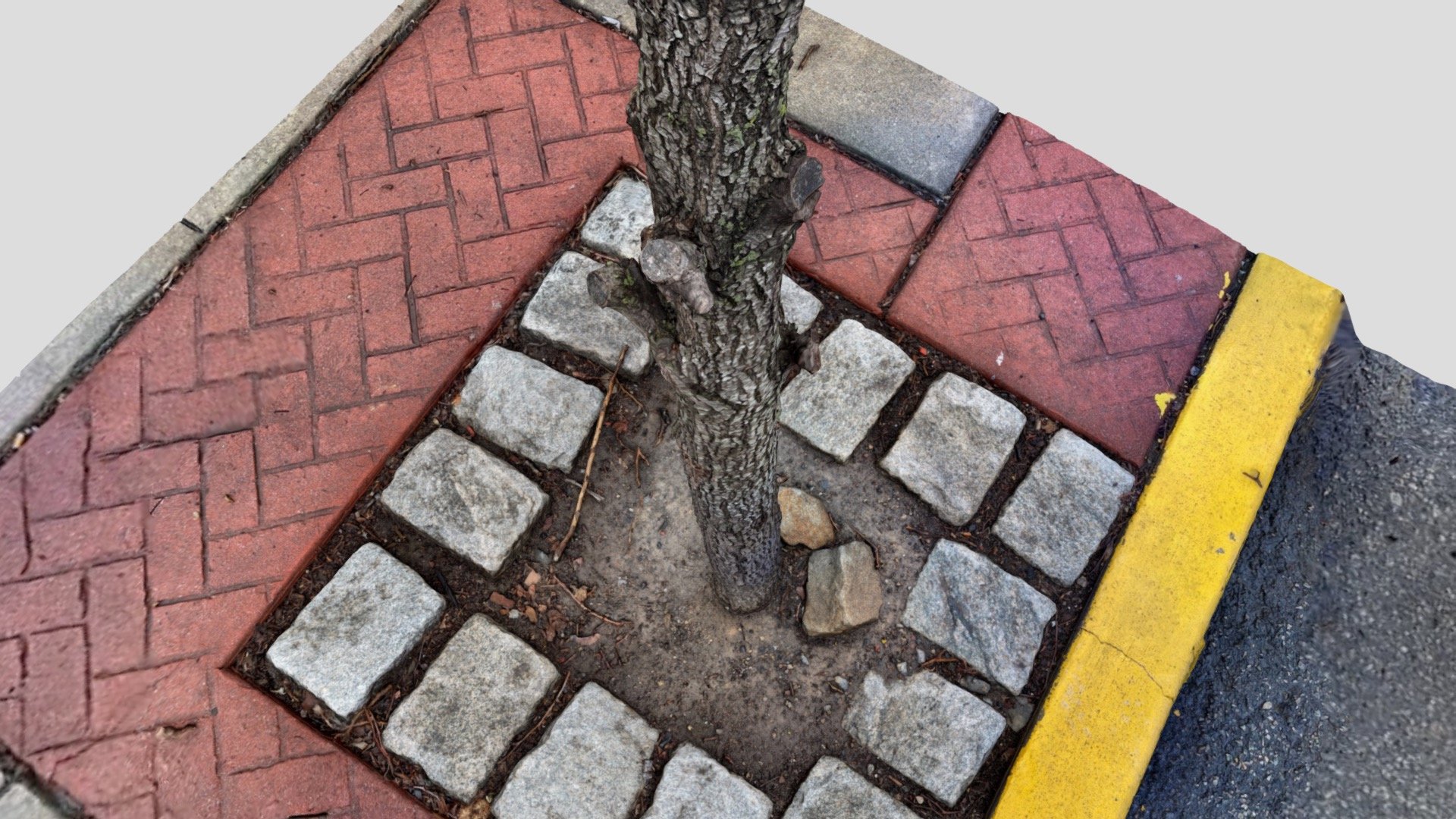 a nicely detailed little tree outside my house