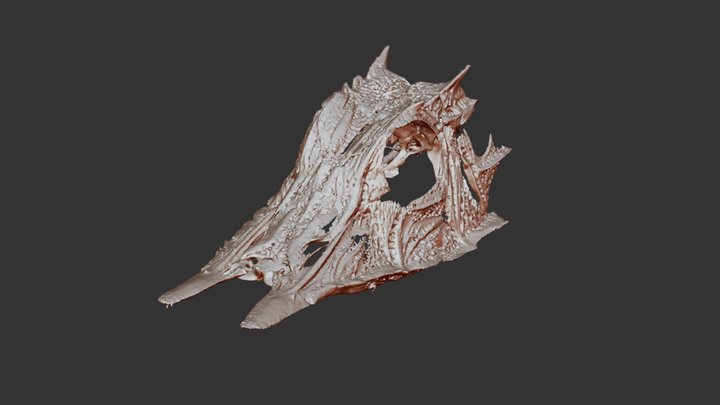 A1097 Peristedon Riversandersoni 3D Model