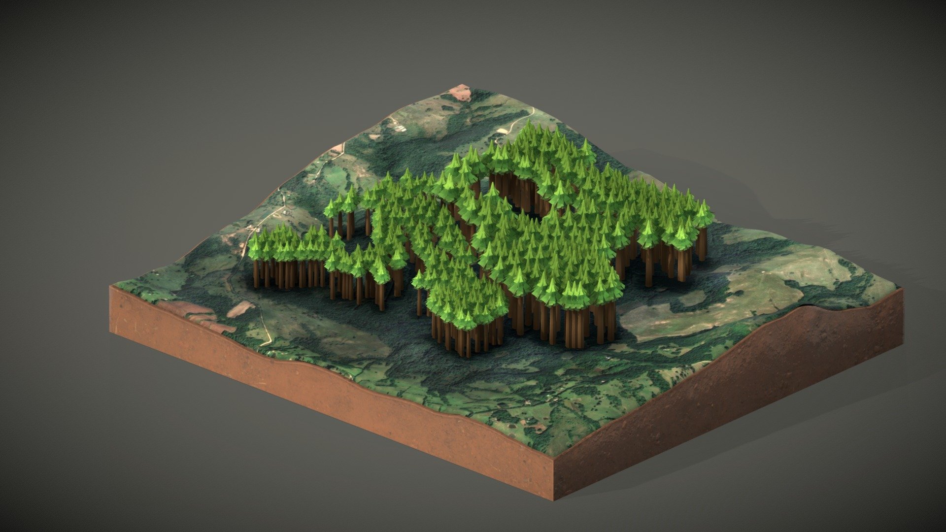 00_Area01_Floresta_01_03