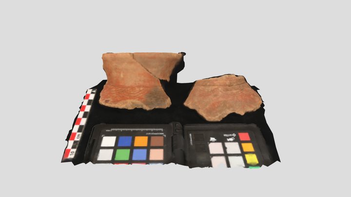 Tooth Cache Vessel 3D Model