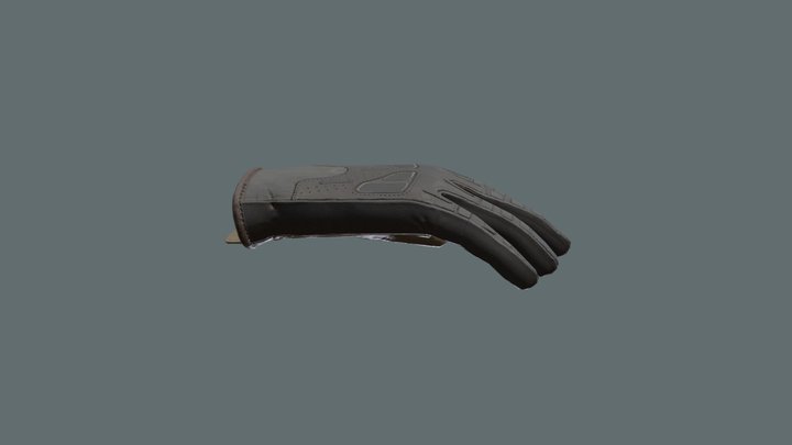 Glove 3D Model