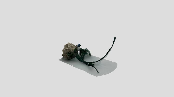 Bea's Flowers 3D Model