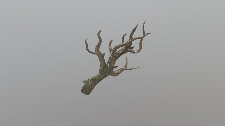 Creepy Forest Tree 3D Model