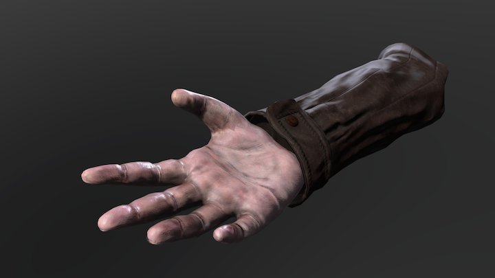 Hand 3D Model