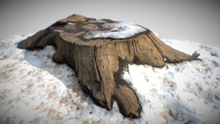 Snow Tree Stump - Ages White Wood Grain 3D Model