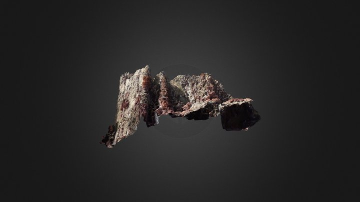 Gooseneck Barnacles: Patch 3 3D Model