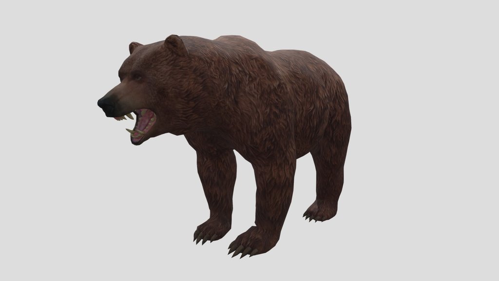 Grizzly Bear Realistic Bear 3D Model