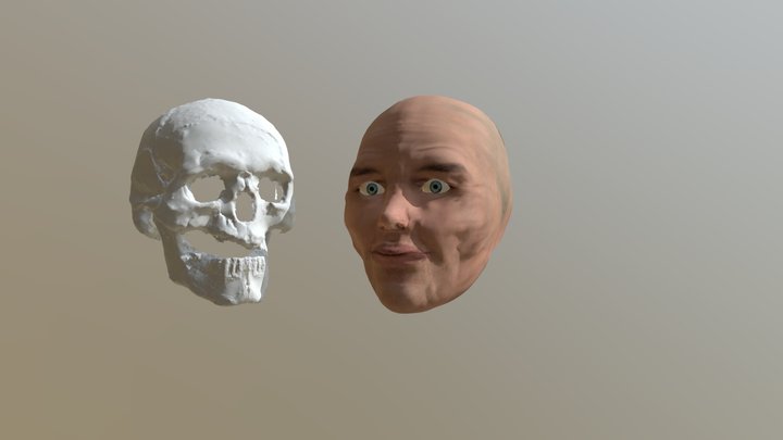 Reconstitution Faciale 3D Model