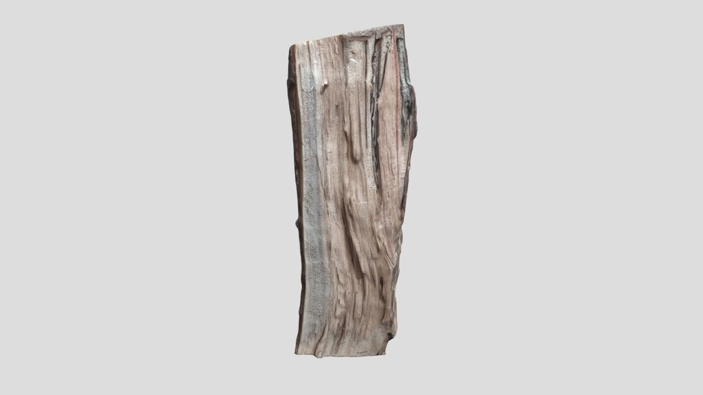 Cutted Log