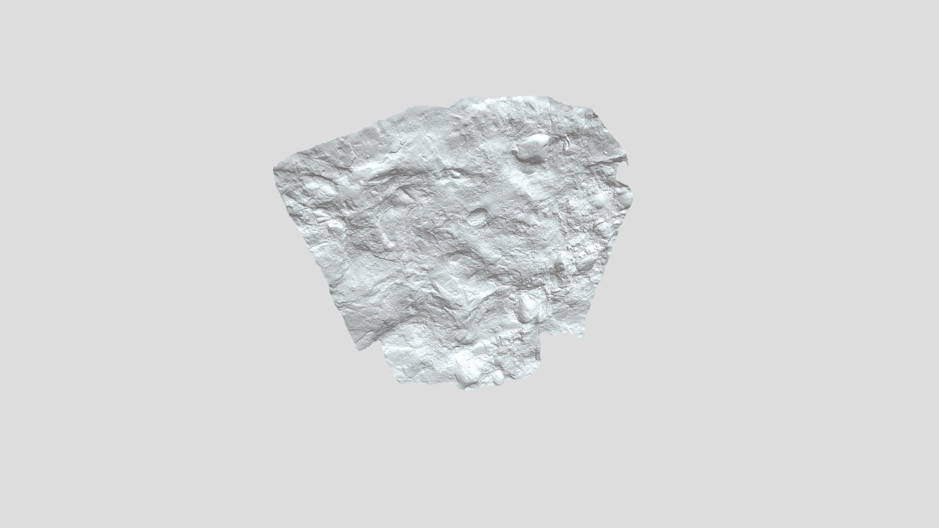 P. maxima footprint from C18 quadrate