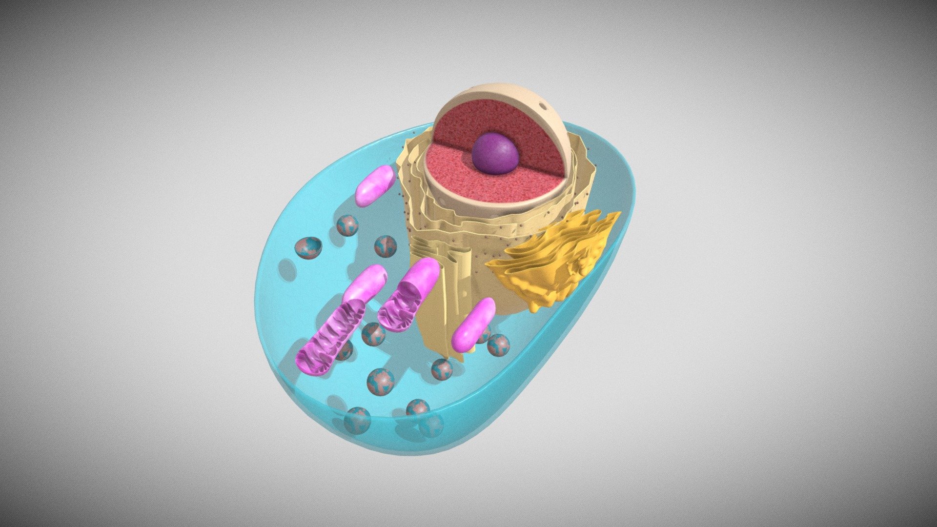 Koji Cell - 3d Model By Striegj [dfa5c1e] - Sketchfab