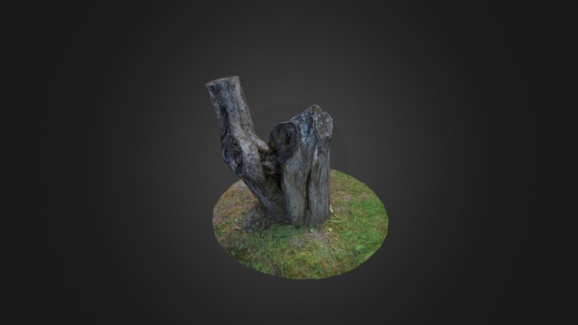 Photogrammetry stump