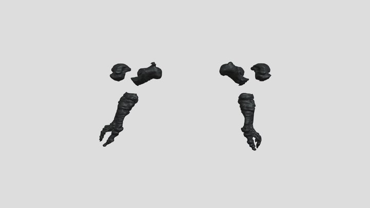 Pocketomy3D Data Foot Bones Male 3D Model