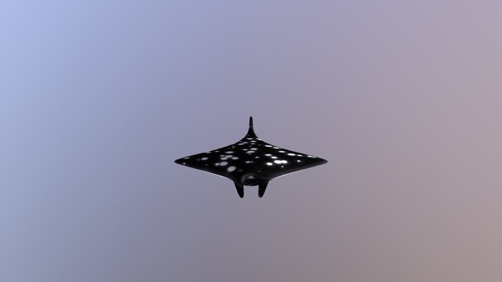 Manta Final Eksport 3D Model