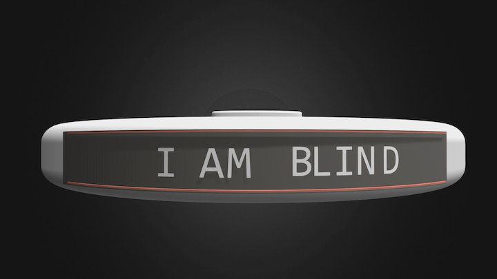 Blindless 3D Model